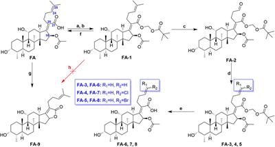 Ligand and structure-based approaches for the exploration of structure–activity relationships of fusidic acid derivatives as antibacterial agents